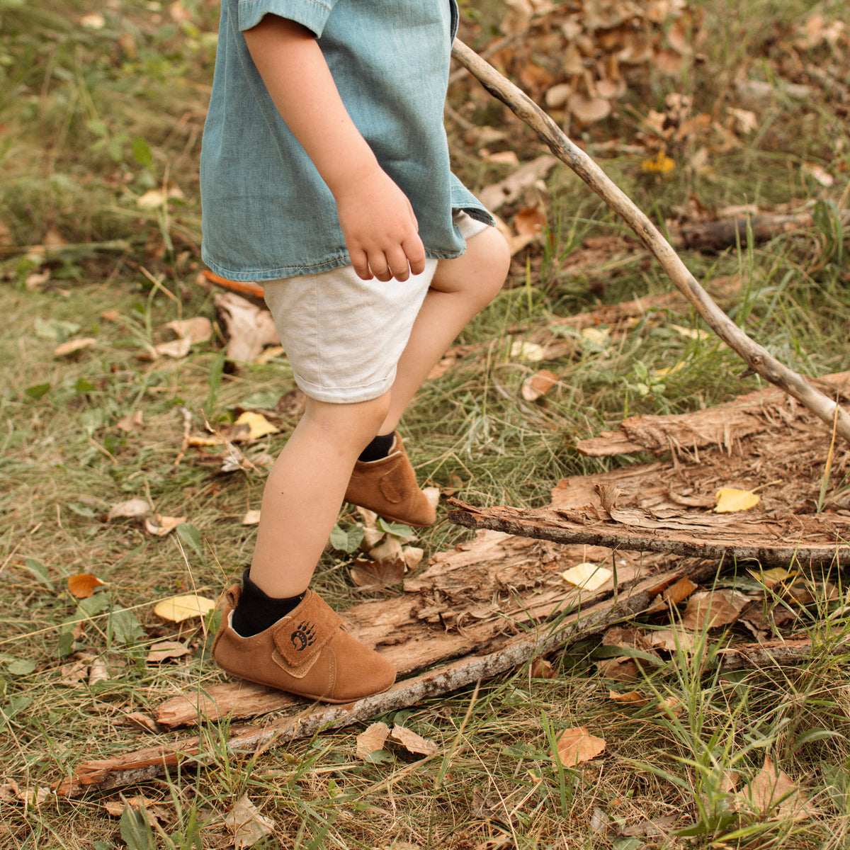 Cub - Oak