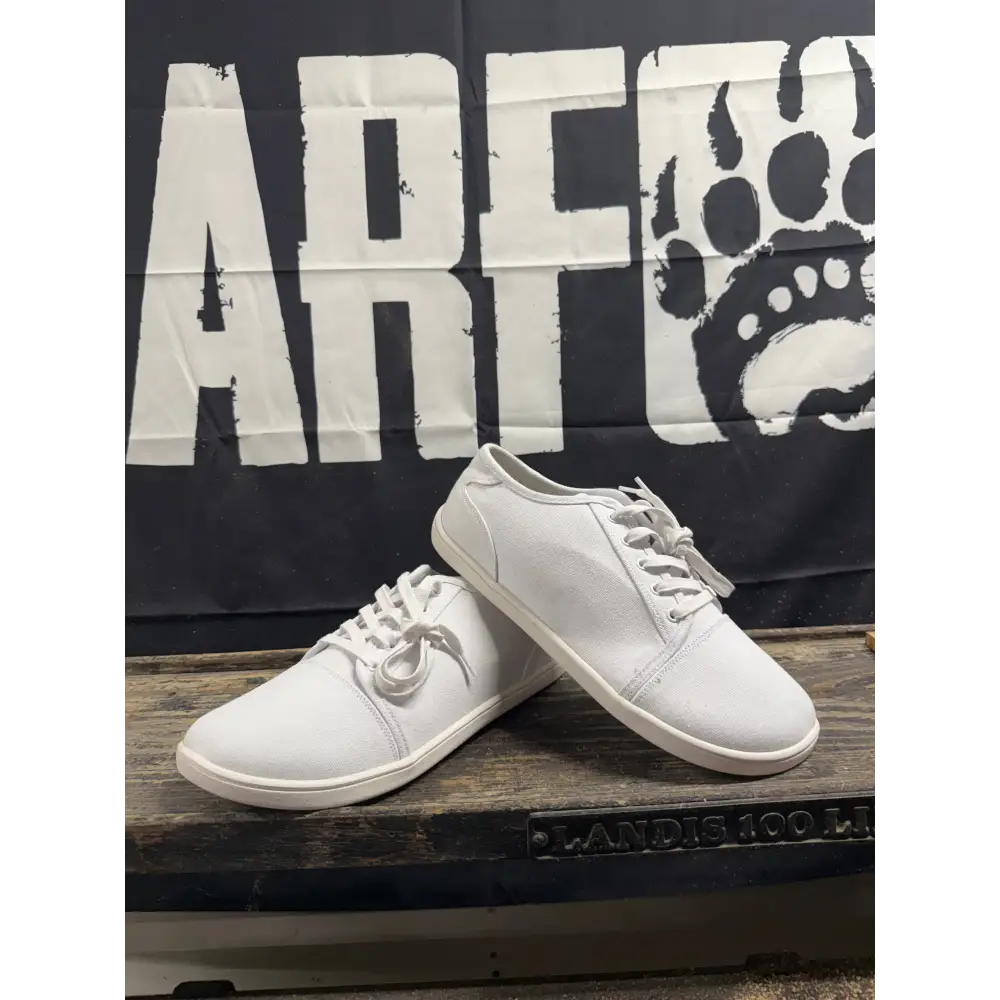 Bearly Used Footwear white canvas sneakers with minor imperfections